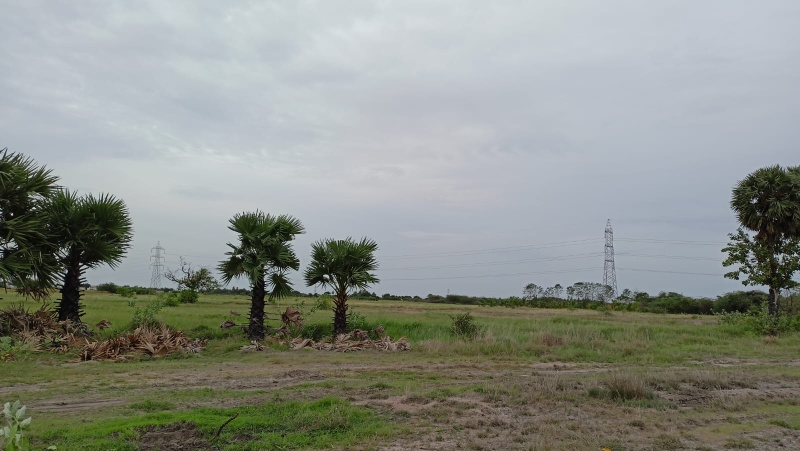  Agricultural Land 1 Acre for Sale in Thirunagar, Madurai