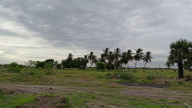  Agricultural Land 1 Acre for Sale in Thirunagar, Madurai