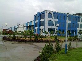  Factory for Rent in Dharuhera, Rewari