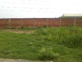  Residential Plot for Sale in Rama Mandi, Jalandhar