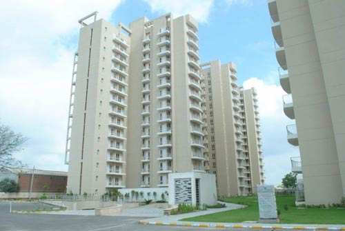 3 BHK Apartment 1646 Sq.ft. for Rent in