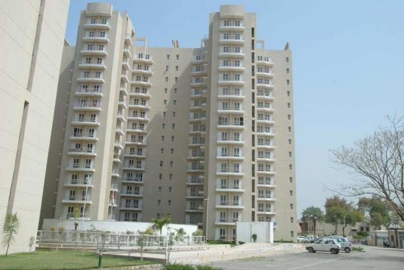3 BHK Apartment 1557 Sq.ft. for Rent in