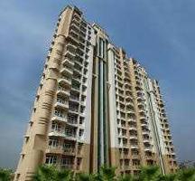 3 BHK Flat for Rent in Greater Faridabad