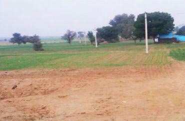 Residential Plot 350 Sq. Yards for Sale in Sector 85 Faridabad