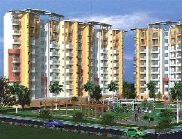  Flat for Sale in Sector 85 Faridabad