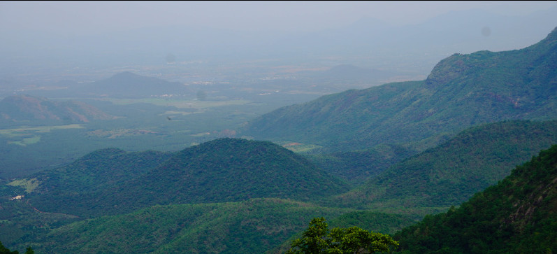  Agricultural Land 15 Acre for Sale in Kodai Lake, Kodaikanal