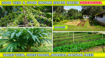 Agricultural Land for Sale in Vilpatti, Kodaikanal