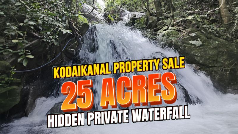  25 Acre Agricultural/Farm Land for Sale in Vattakanal, Kodaikanal