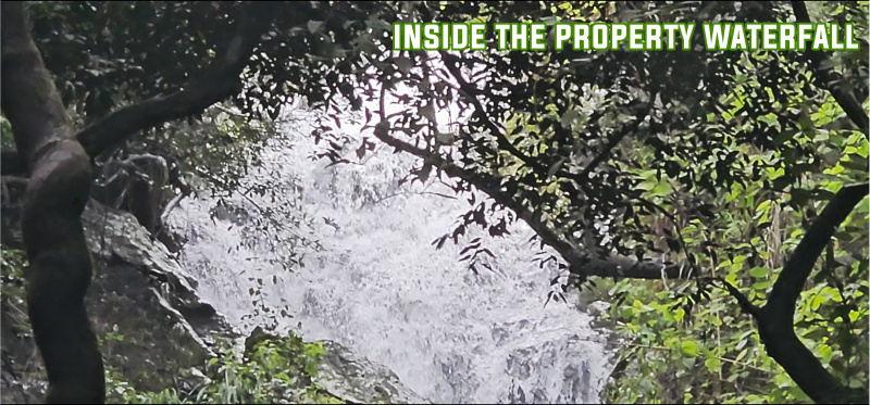  25 Acre Agricultural/Farm Land for Sale in Vattakanal, Kodaikanal