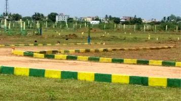  Residential Plot for Sale in Taramandal, Gorakhpur