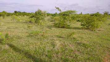  Agricultural Land for Rent in Partapur, Meerut