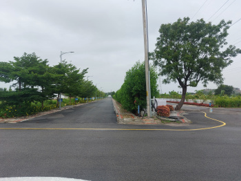  Residential Plot for Sale in Shamshabad, Hyderabad