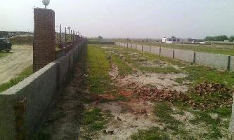  Residential Plot for Sale in Dadri Road, Noida