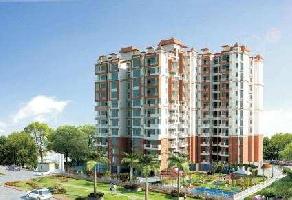 1 BHK Flat for Rent in Indira Nagar, Lucknow