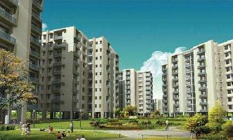 1 RK Flat for Rent in Indira Nagar, Lucknow