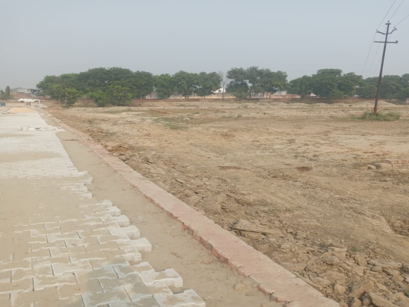  Residential Plot 300 Sq. Yards for Sale in Dankaur, Greater Noida