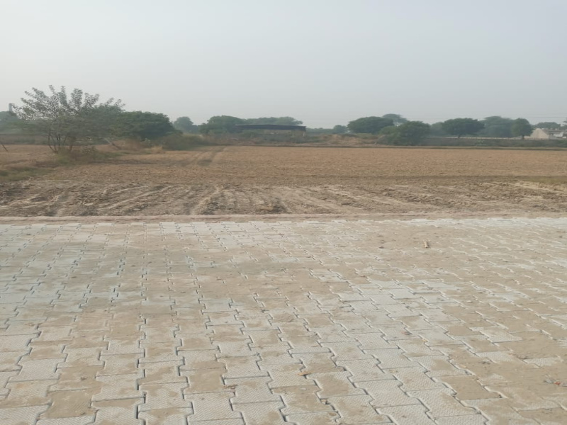  Residential Plot 300 Sq. Yards for Sale in Dankaur, Greater Noida