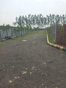  Residential Plot for Sale in Solra, Palwal