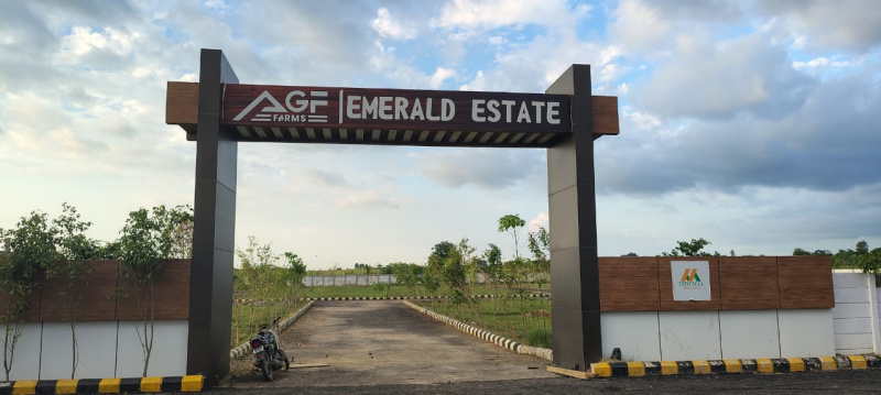  Residential Plot 100 Sq. Yards for Sale in New Colony Extension, Palwal