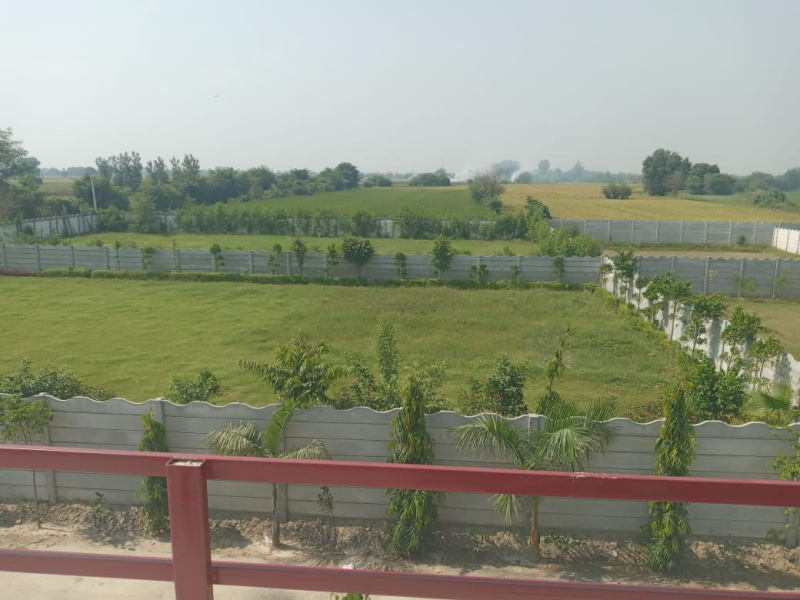  Residential Plot 100 Sq. Yards for Sale in New Colony Extension, Palwal