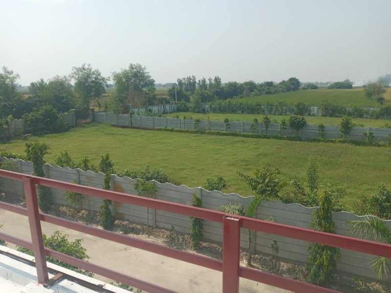  Residential Plot 100 Sq. Yards for Sale in New Colony Extension, Palwal