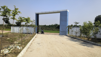  Residential Plot for Sale in Solra, Palwal