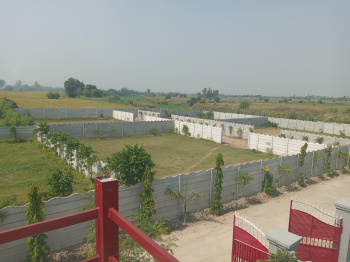 1 RK Farm House for Sale in Palwal, Faridabad