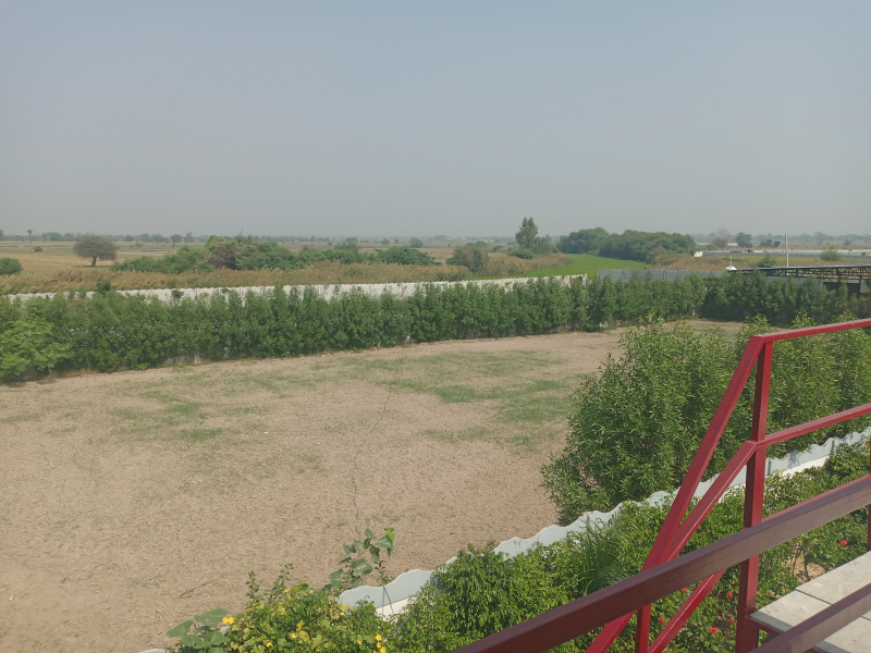 1 RK Farm House 1008 Sq. Yards for Sale in Palwal, Faridabad