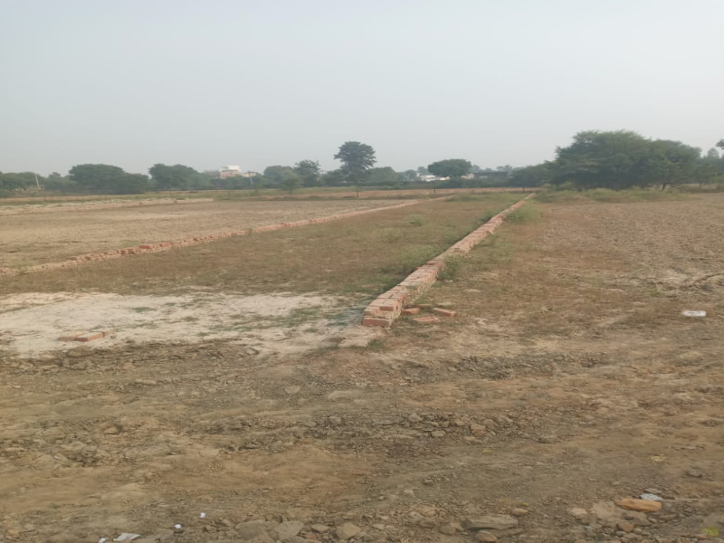  Residential Plot 500 Sq. Yards for Sale in Dankaur, Greater Noida