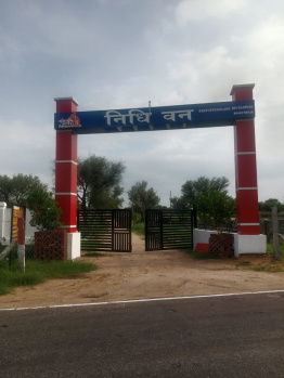  Commercial Land for Sale in Khatu, Sikar