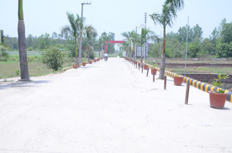  Residential Plot 200 Sq. Yards for Sale in Patanjali Yogpeeth, Haridwar