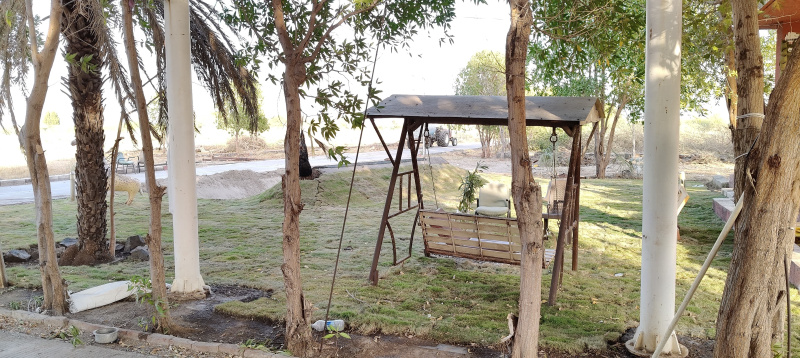  Residential Plot 500 Sq. Yards for Sale in Dholera, Ahmedabad
