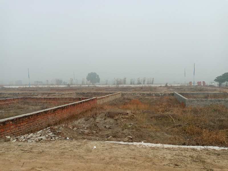 Residential Plot 100 Sq. Yards for Sale in Dadri, Gautam Buddha Nagar