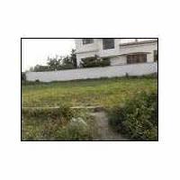  Residential Plot for Sale in Mothrowala, Dehradun