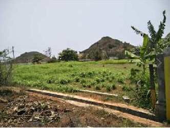 Residential Plot 1500 Sq.ft. for Sale in Parawada, Visakhapatnam