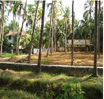  Residential Plot for Sale in West Nada, Guruvayur, Thrissur