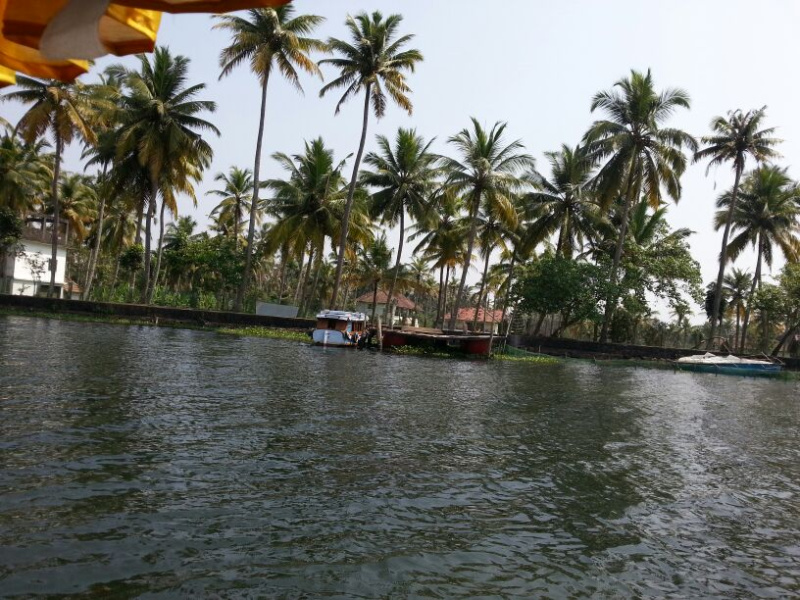 Kumarakom, Kottayam photo 4