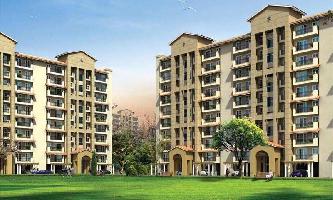 4 BHK Flat for Sale in Sector 77 Gurgaon