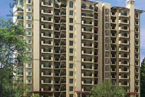 3 BHK Builder Floor for Sale in DLF Phase I, Gurgaon