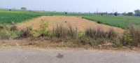  Commercial Land for Sale in Masaurhi, Patna