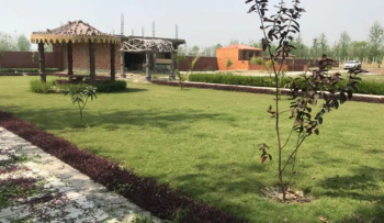  Residential Plot for Sale in Patanjali Yogpeeth, Haridwar