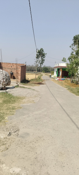Kashipur, Udham Singh Nagar photo 5