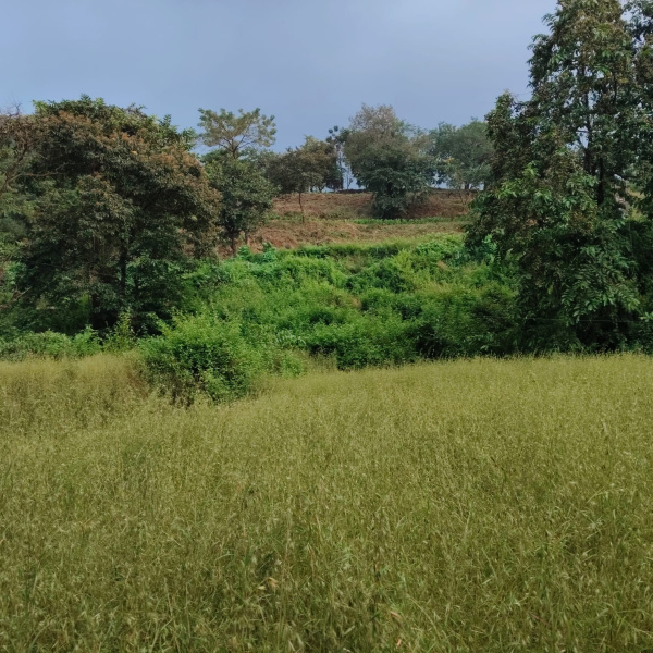  10 Acre Agricultural/Farm Land for Sale in Roha, Raigad