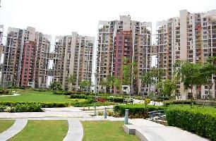 2 BHK Flat for Rent in DLF Phase IV, Gurgaon