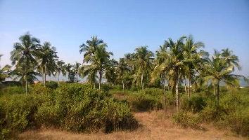  Commercial Land for Sale in Majorda, Goa