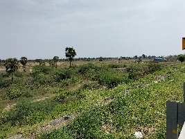  Agricultural Land for Sale in Veppanthattai, Perambalur