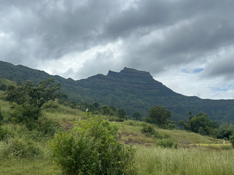  1 Acre Residential Plot for Sale in Velhe, Pune