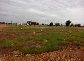  Residential Plot for Sale in Champa, Janjgir-Champa