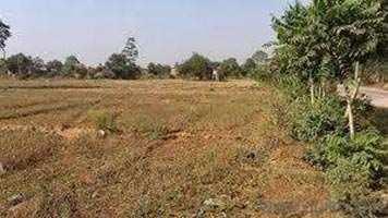  Commercial Land for Sale in VIP Road, Raipur