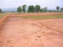  Commercial Land for Sale in Baloda, Janjgir-Champa